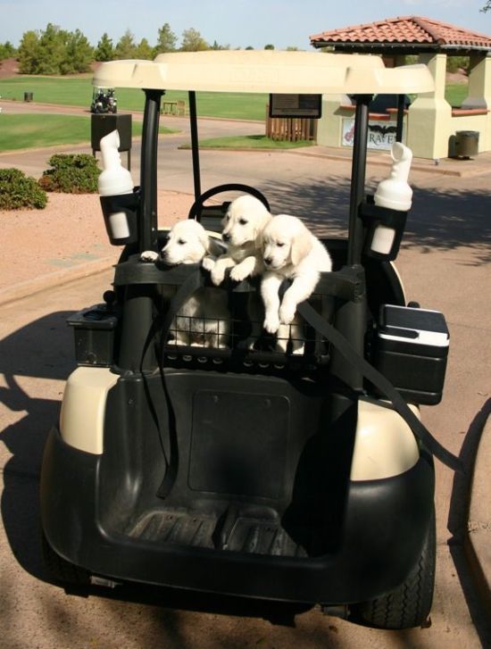 Daily picdump (126 pics)