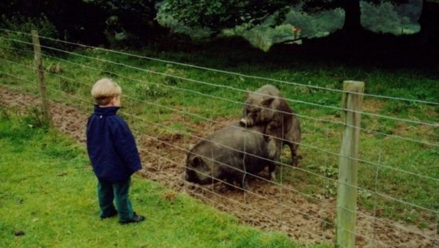 Daily picdump (126 pics)