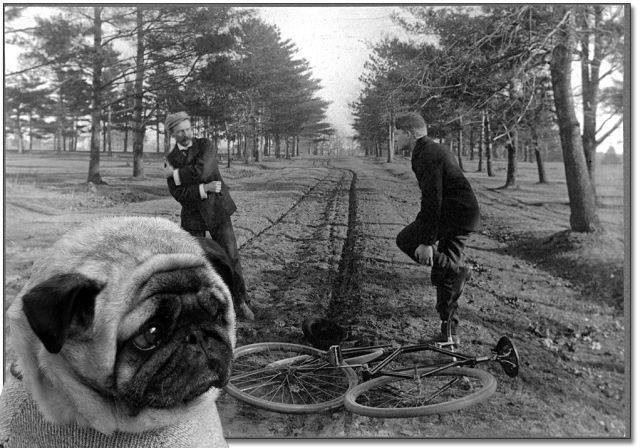Daily picdump (126 pics)