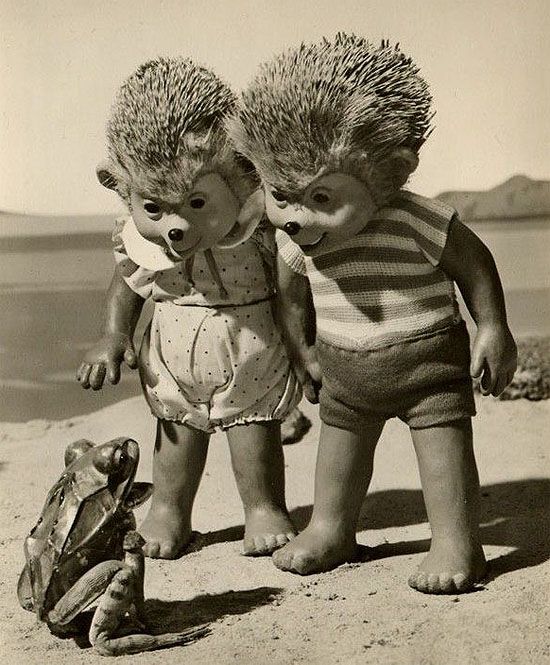 Daily picdump (126 pics)