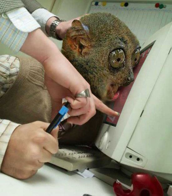 Daily picdump (126 pics)
