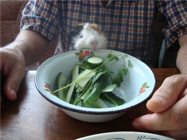 Daily picdump (126 pics)