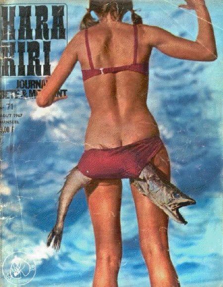 Daily picdump (126 pics)