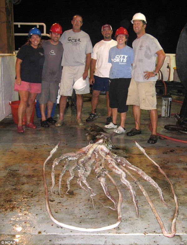 Daily picdump (126 pics)