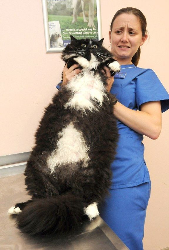Daily picdump (126 pics)
