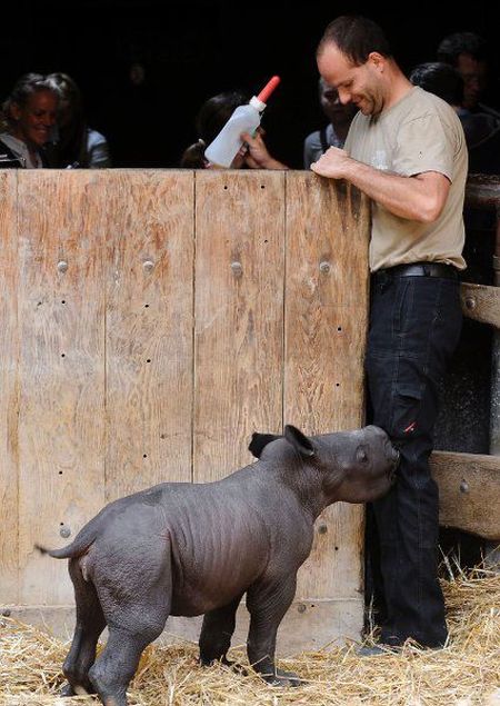 Daily picdump (126 pics)