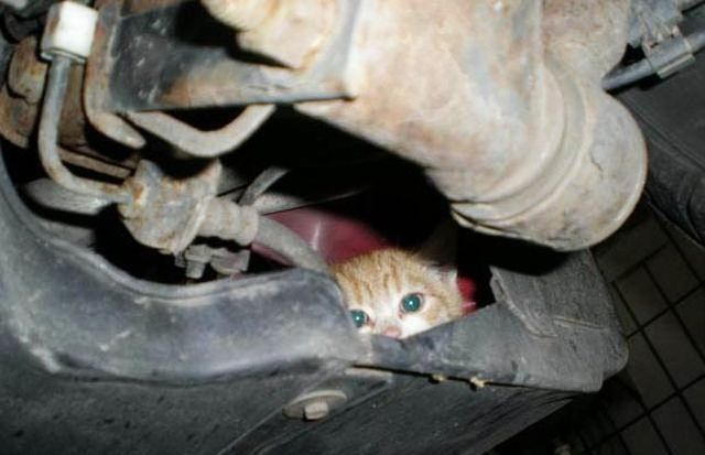 Daily picdump (126 pics)