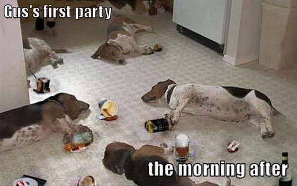 Daily picdump (126 pics)