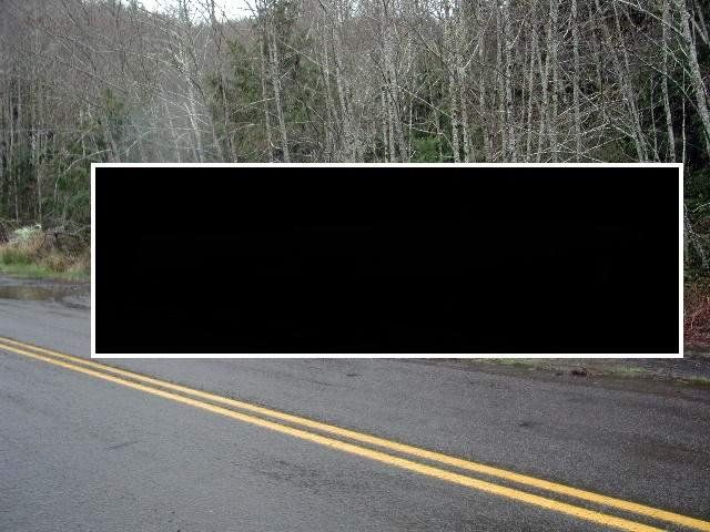 Unusual finding on the roadside (17 pics)