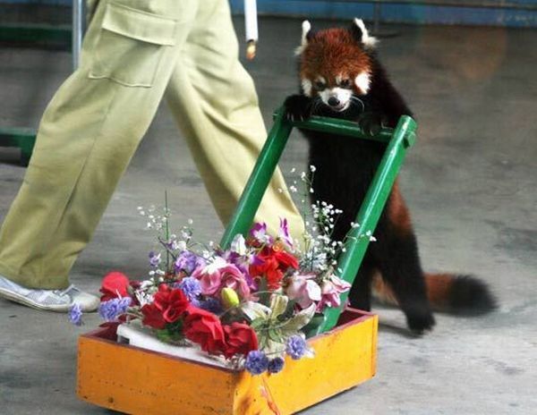 Daily picdump (125 pics)