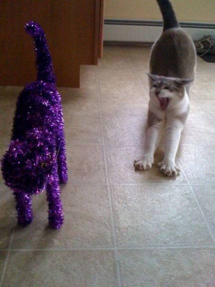 Daily picdump (125 pics)
