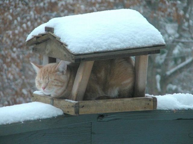 Daily picdump (125 pics)