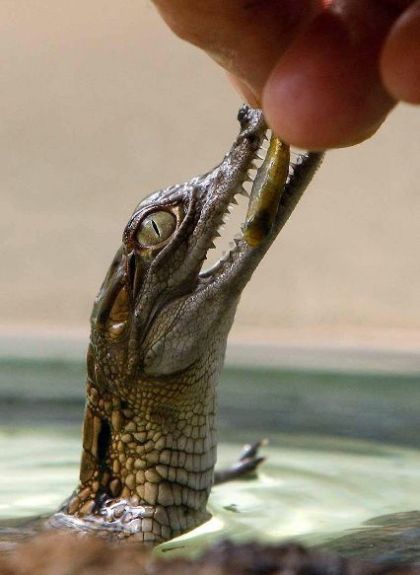 Daily picdump (125 pics)