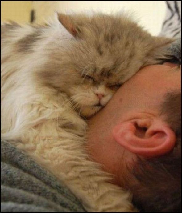 Daily picdump (125 pics)