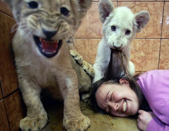 Daily picdump (125 pics)