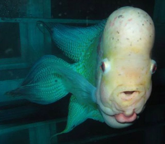 Daily picdump (125 pics)