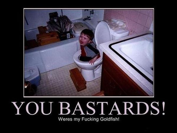Funny demotivational posters (60 pics)