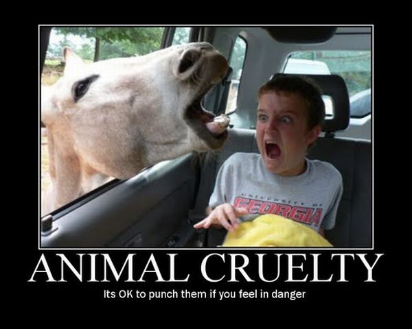 Funny demotivational posters (60 pics)