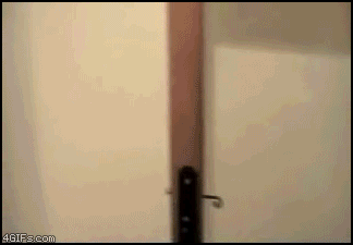 Fails and losers (45 gifs)