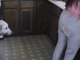 Fails and losers (45 gifs)