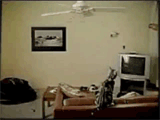 Fails and losers (45 gifs)