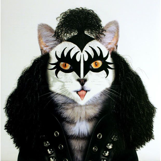 Rock calendar for 2010 (13 pics)
