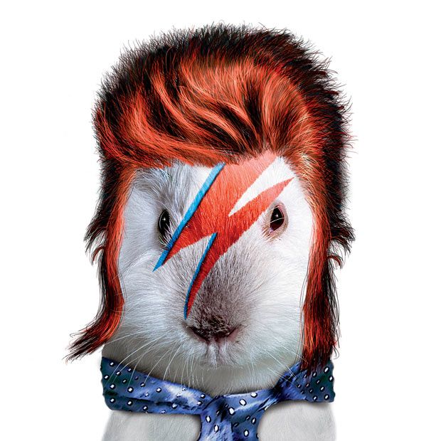 Rock calendar for 2010 (13 pics)