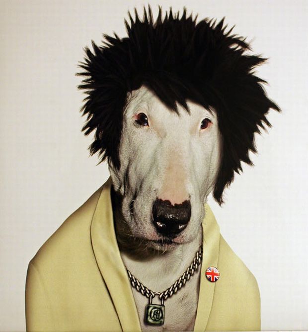 Rock calendar for 2010 (13 pics)