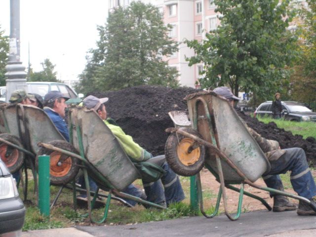 Daily picdump (119 pics)