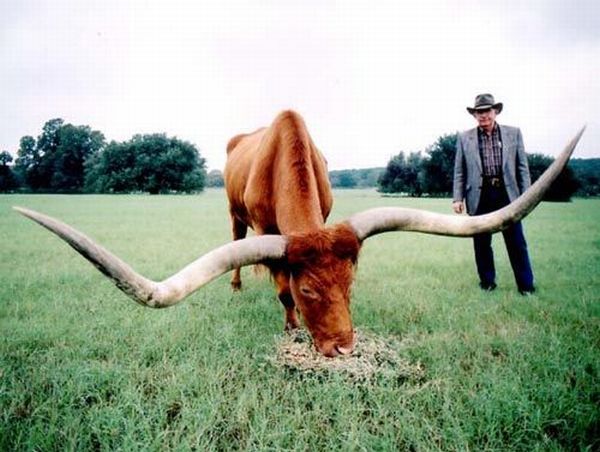 Daily picdump (119 pics)