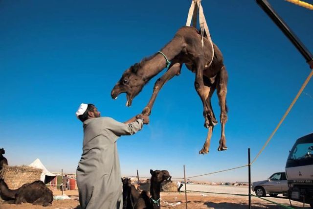 Daily picdump (119 pics)