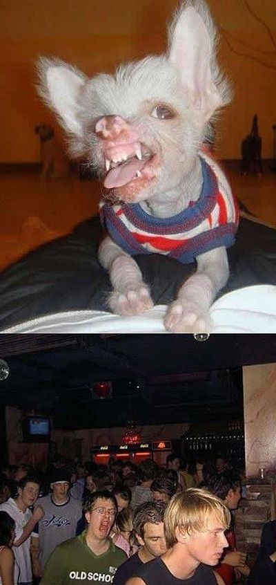 Daily picdump (119 pics)