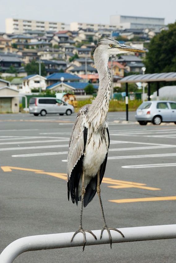 Daily picdump (119 pics)