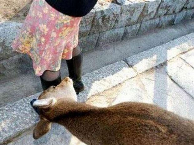 Daily picdump (119 pics)