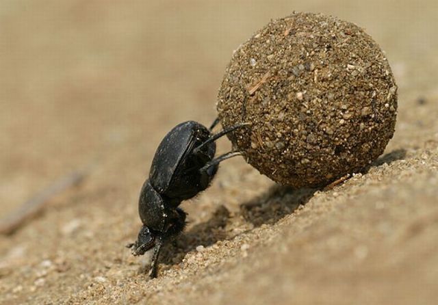 Daily picdump (119 pics)