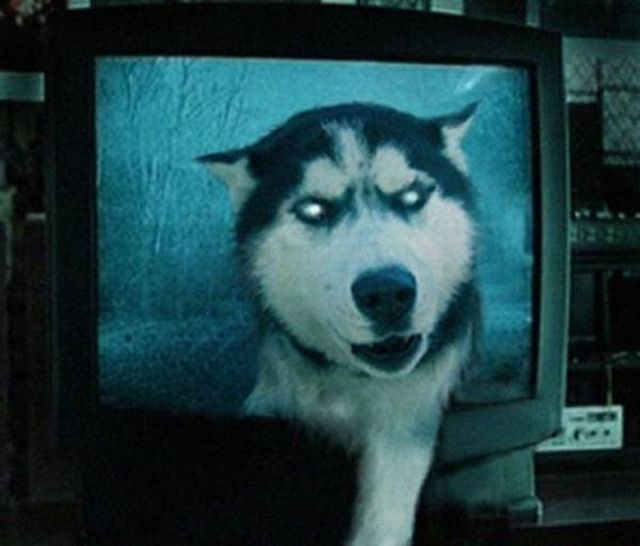 Daily picdump (119 pics)