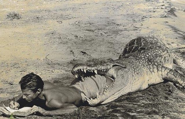 Daily picdump (119 pics)