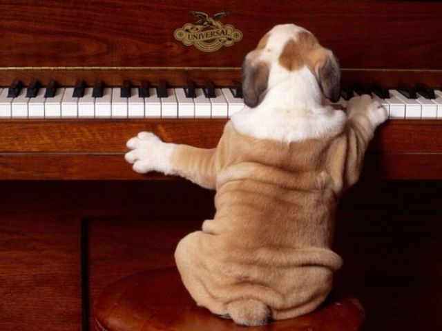 Daily picdump (119 pics)