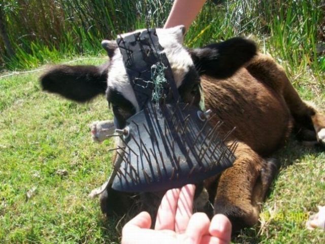 Daily picdump (119 pics)