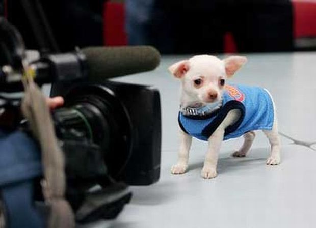 Daily picdump (119 pics)