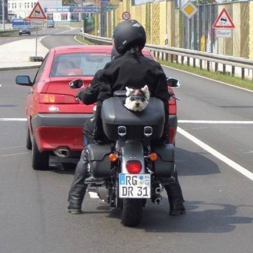 Daily picdump (119 pics)