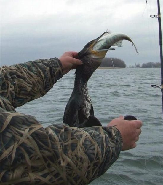 Daily picdump (119 pics)