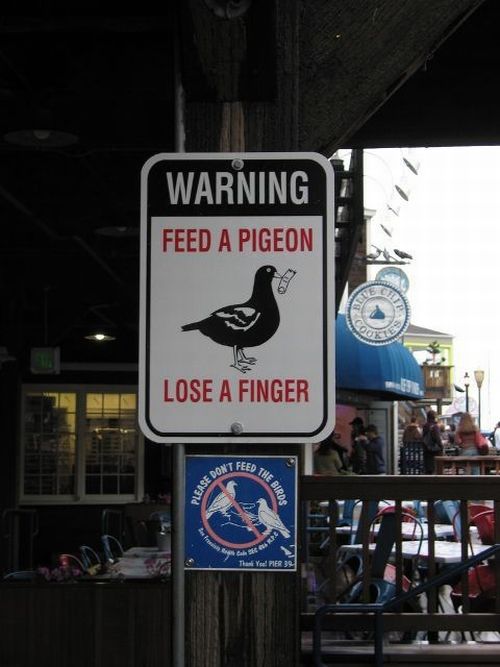 Daily picdump (119 pics)