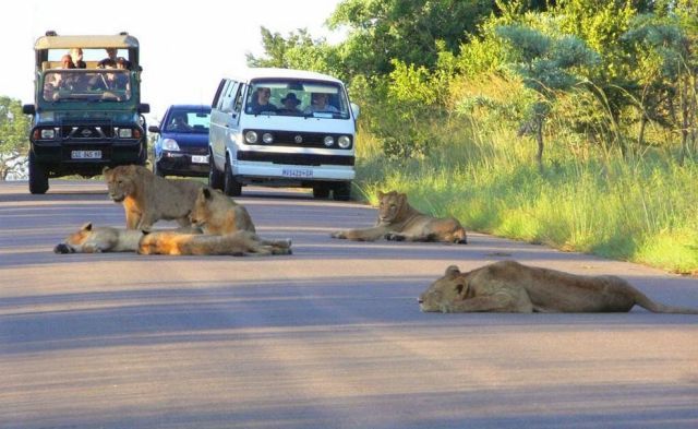 Daily picdump (117 pics)
