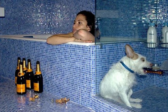 Daily picdump (117 pics)