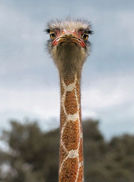Daily picdump (117 pics)