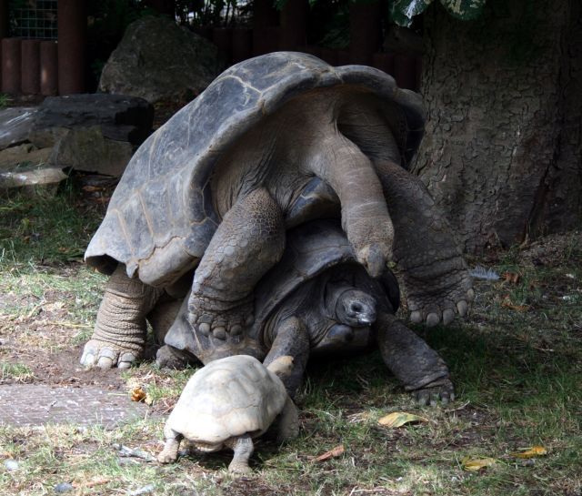 Daily picdump (117 pics)