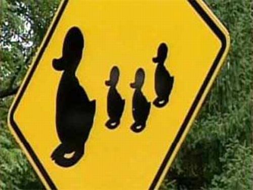Daily picdump (117 pics)