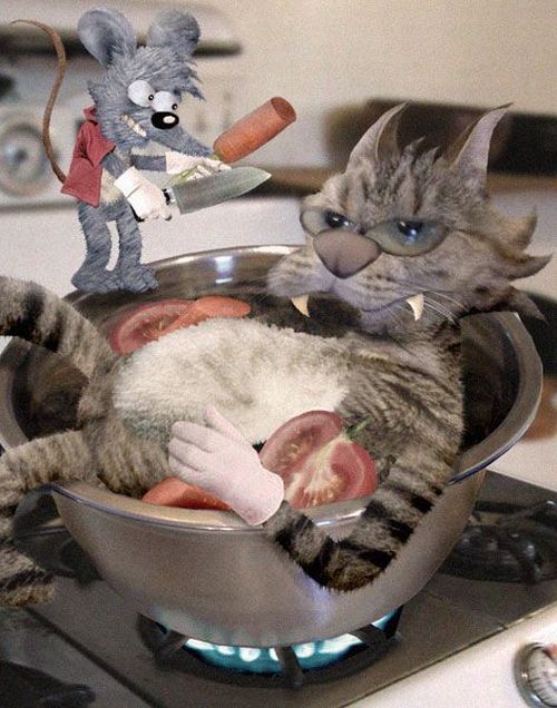 Daily picdump (117 pics)