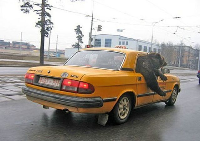 Daily picdump (117 pics)